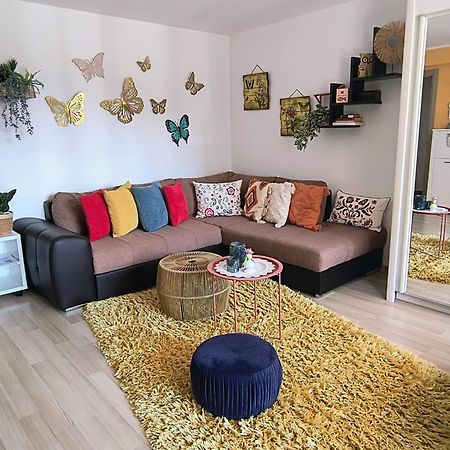 Sweet Butterflies Residence Braşov Exterior foto