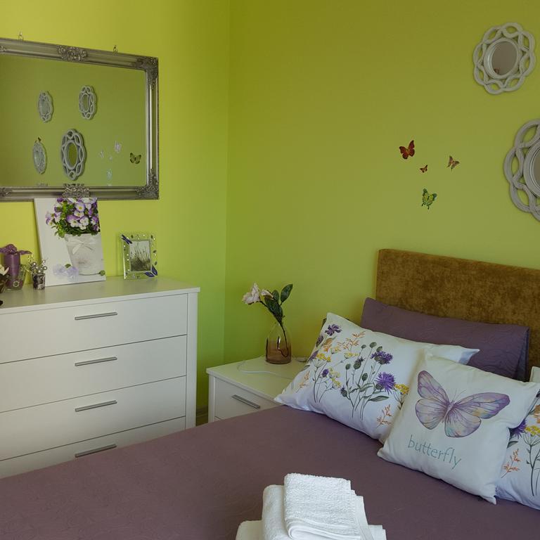 Sweet Butterflies Residence Braşov Exterior foto