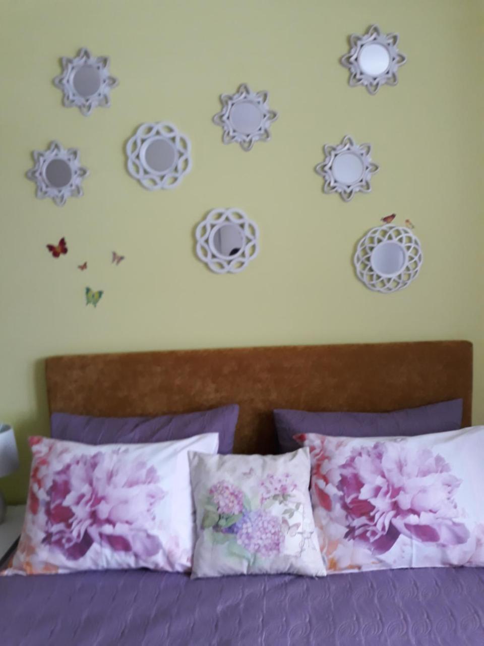 Sweet Butterflies Residence Braşov Exterior foto