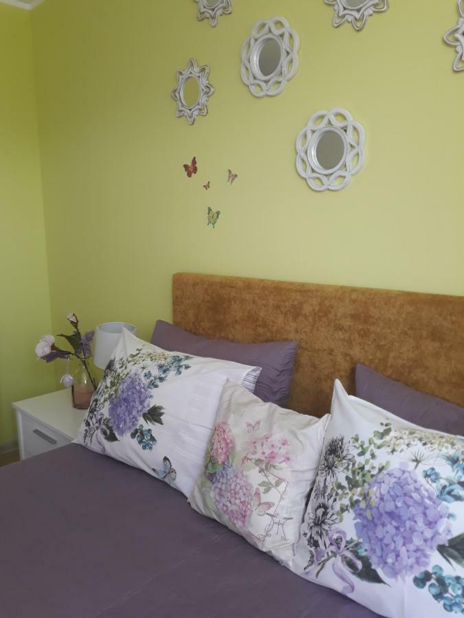 Sweet Butterflies Residence Braşov Exterior foto